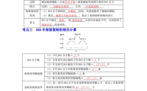 第8讲DNA的复制-精准备考备战2023年高考生物一轮复习精品讲义（生物学必修2）（解析版）_通用版（老高考）复习资料_2023年复习资料_一轮复习