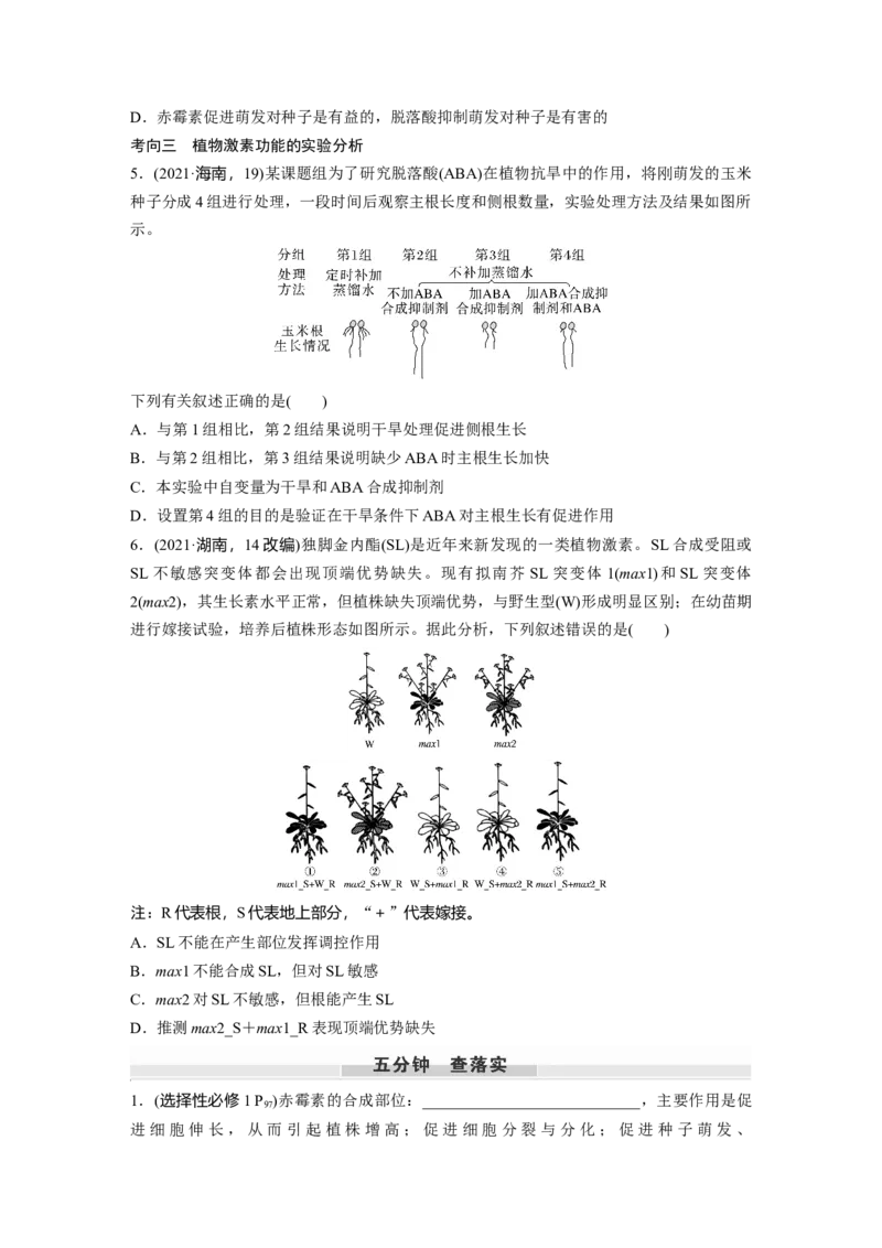 第八单元　第45课时　其他植物激素_2025年新高考资料_一轮复习_2025大一轮复习讲义+课件（完结）_2025大一轮复习讲义生物学生用书Word版文档整书_2025大一轮复习讲义