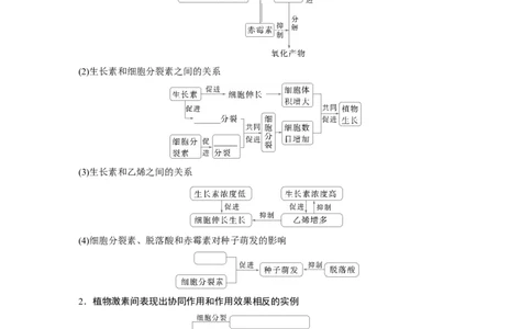 第八单元　第45课时　其他植物激素_2025年新高考资料_一轮复习_2025大一轮复习讲义+课件（完结）_2025大一轮复习讲义生物学生用书Word版文档整书_2025大一轮复习讲义