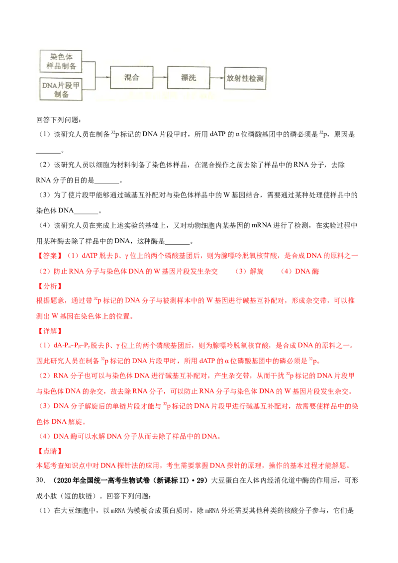 第五单元遗传的分子基础（作业）_新高考复习资料_2022年新高考复习资料_2022届一轮复习讲练结合7.13更新_系列一_第五单元遗传的分子基础