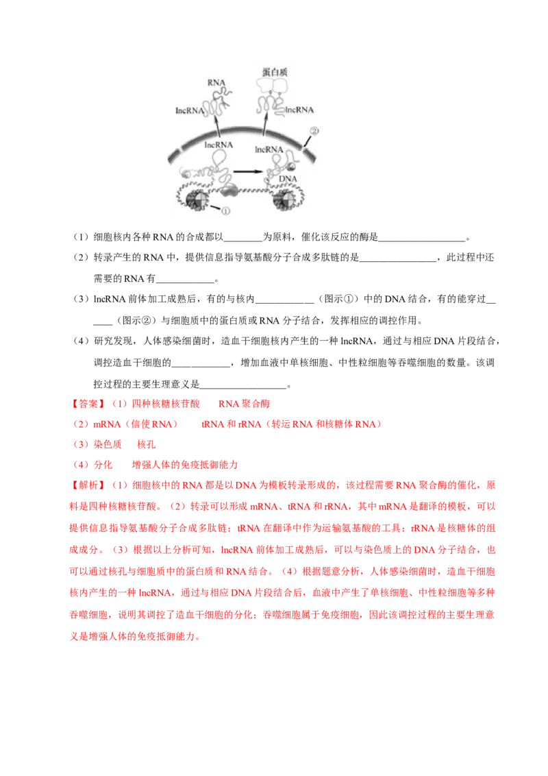 第五单元遗传的分子基础（作业）_新高考复习资料_2022年新高考复习资料_2022届一轮复习讲练结合7.13更新_系列一_第五单元遗传的分子基础