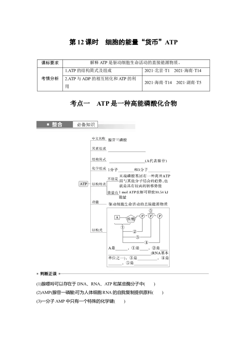 第三单元　第12课时　细胞的能量&ldquo;货币&rdquo;ATP_2025年新高考资料_一轮复习_2025大一轮复习讲义+课件（完结）_2025大一轮复习讲义生物学生用书Word版文档整书_2025大一轮复习讲义