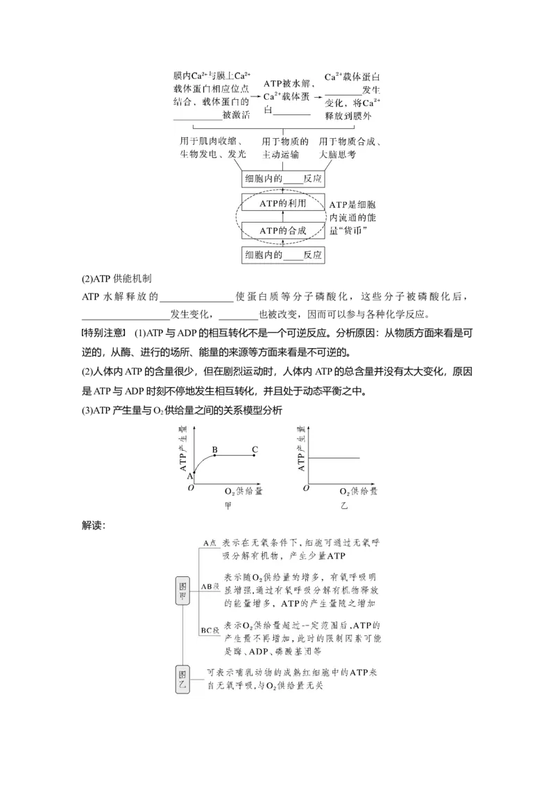 第三单元　第12课时　细胞的能量&ldquo;货币&rdquo;ATP_2025年新高考资料_一轮复习_2025大一轮复习讲义+课件（完结）_2025大一轮复习讲义生物学生用书Word版文档整书_2025大一轮复习讲义