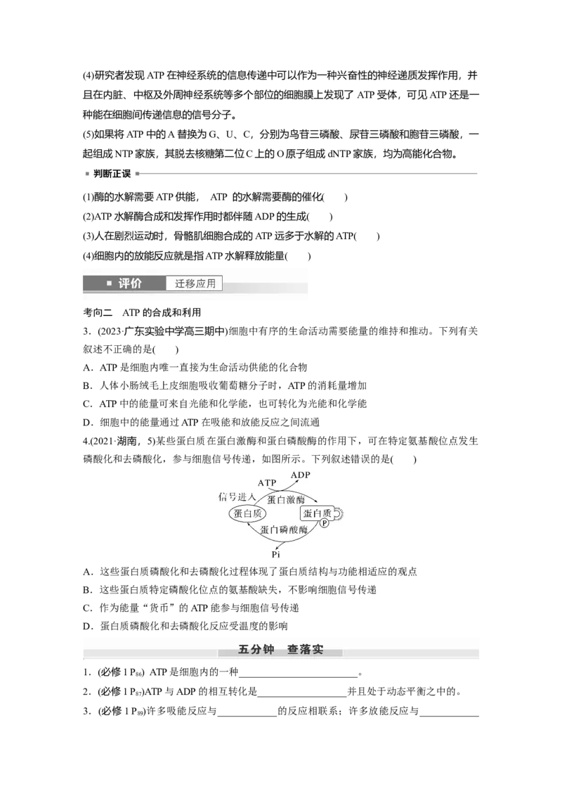 第三单元　第12课时　细胞的能量&ldquo;货币&rdquo;ATP_2025年新高考资料_一轮复习_2025大一轮复习讲义+课件（完结）_2025大一轮复习讲义生物学生用书Word版文档整书_2025大一轮复习讲义