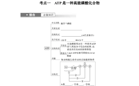 第三单元　第12课时　细胞的能量&ldquo;货币&rdquo;ATP_2025年新高考资料_一轮复习_2025大一轮复习讲义+课件（完结）_2025大一轮复习讲义生物学生用书Word版文档整书_2025大一轮复习讲义