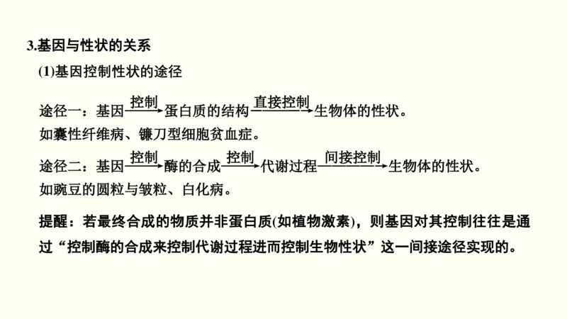 第五单元遗传的分子基础（教案）_新高考复习资料_2022年新高考复习资料_2022届一轮复习讲练结合7.13更新_系列一_第五单元遗传的分子基础