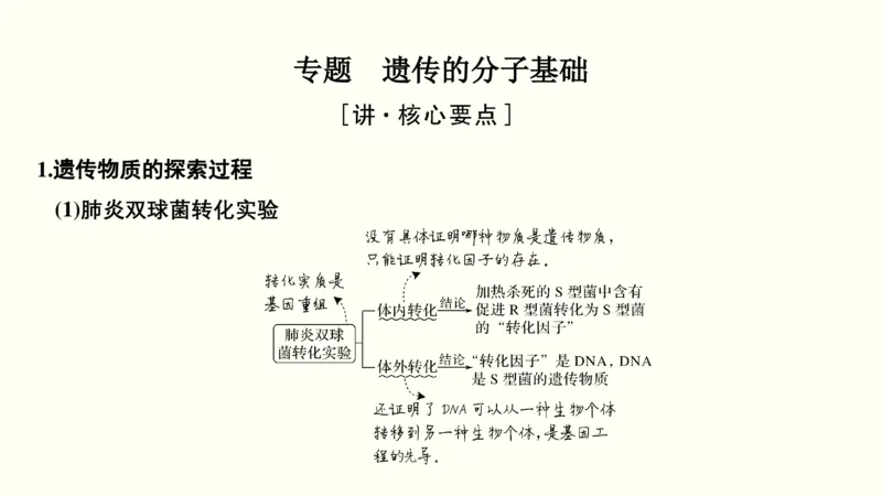 第五单元遗传的分子基础（教案）_新高考复习资料_2022年新高考复习资料_2022届一轮复习讲练结合7.13更新_系列一_第五单元遗传的分子基础