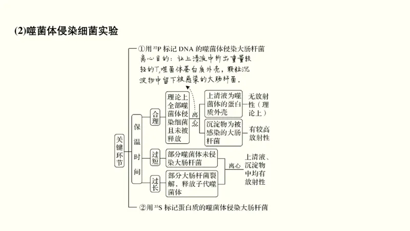 第五单元遗传的分子基础（教案）_新高考复习资料_2022年新高考复习资料_2022届一轮复习讲练结合7.13更新_系列一_第五单元遗传的分子基础