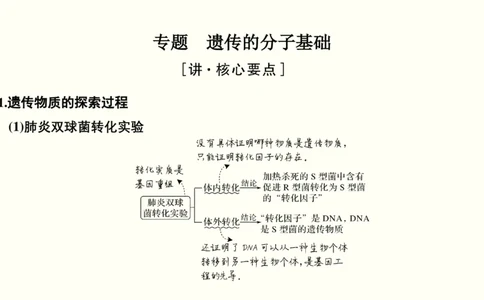 第五单元遗传的分子基础（教案）_新高考复习资料_2022年新高考复习资料_2022届一轮复习讲练结合7.13更新_系列一_第五单元遗传的分子基础