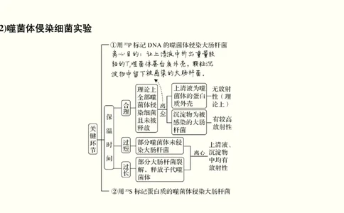 第五单元遗传的分子基础（教案）_新高考复习资料_2022年新高考复习资料_2022届一轮复习讲练结合7.13更新_系列一_第五单元遗传的分子基础