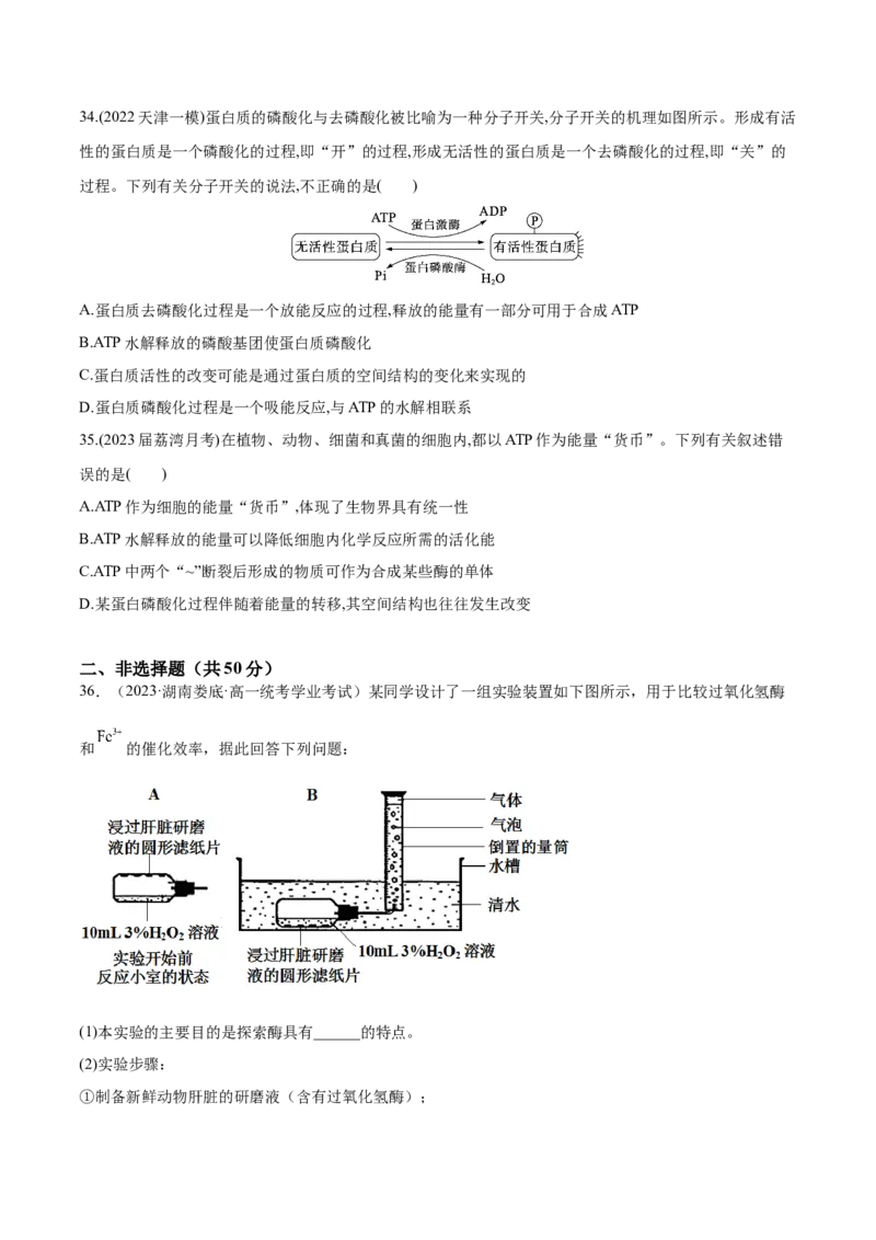 第三单元细胞的能量供应和利用（测试）（原卷版）_新高考复习资料_2024年新高考复习资料_一轮复习资料_完2024年高考生物一轮复习讲练测(课件+讲义+练习)（新高考）_单元测试