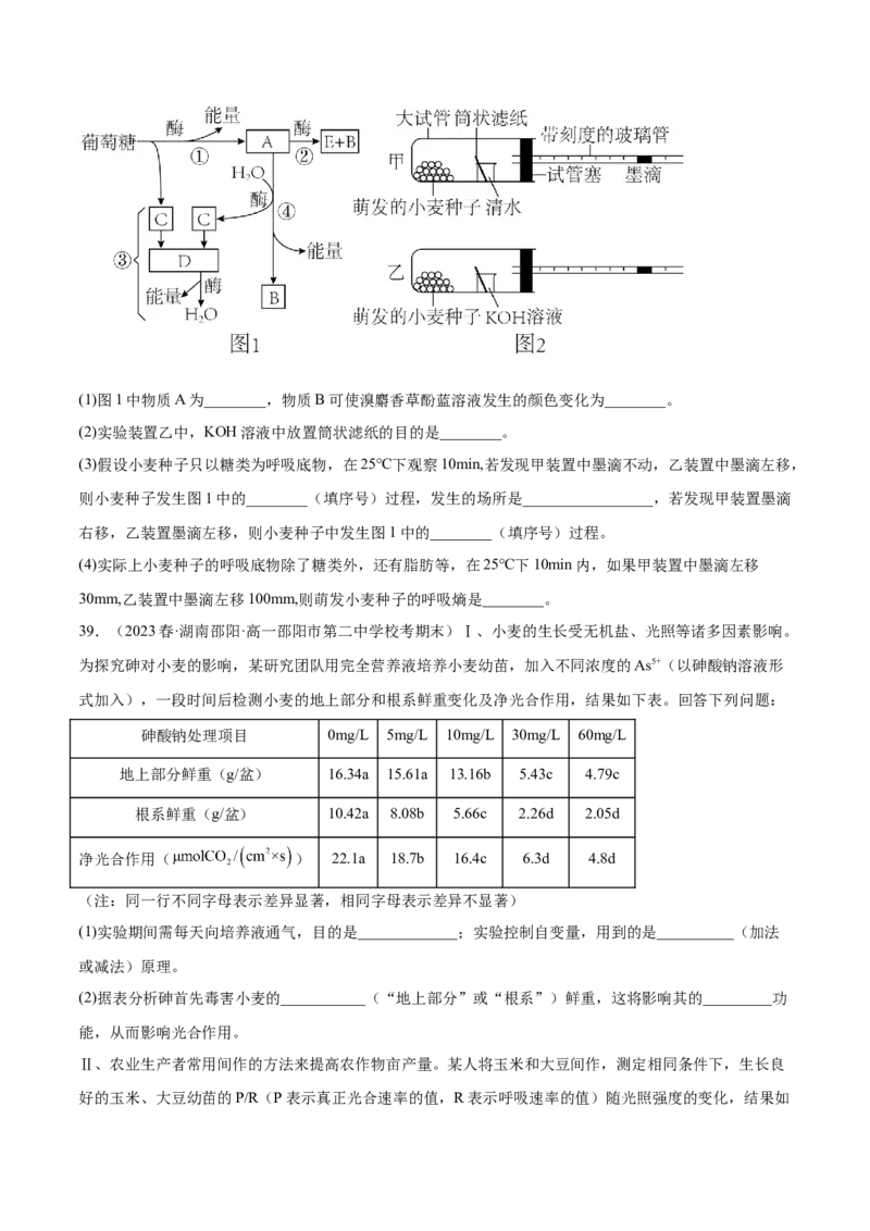 第三单元细胞的能量供应和利用（测试）（原卷版）_新高考复习资料_2024年新高考复习资料_一轮复习资料_完2024年高考生物一轮复习讲练测(课件+讲义+练习)（新高考）_单元测试