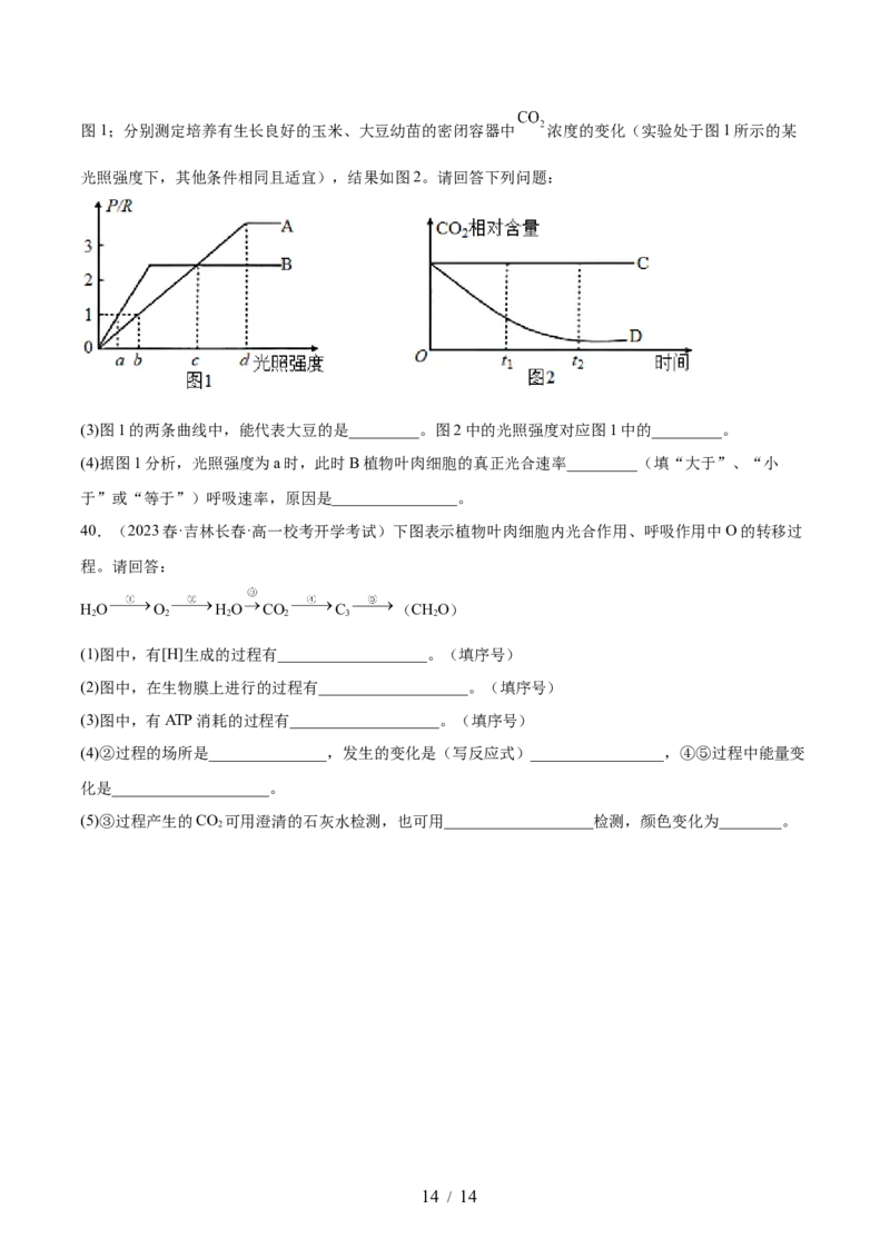 第三单元细胞的能量供应和利用（测试）（原卷版）_新高考复习资料_2024年新高考复习资料_一轮复习资料_完2024年高考生物一轮复习讲练测(课件+讲义+练习)（新高考）_单元测试