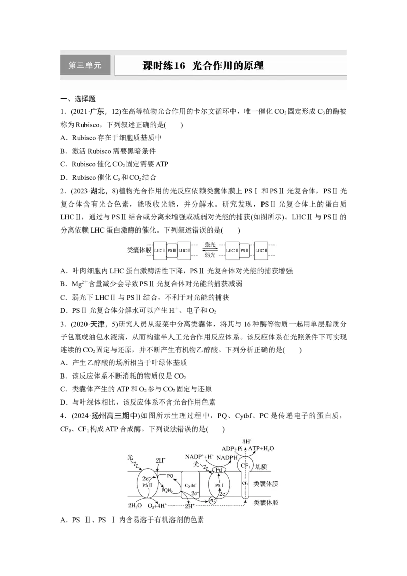 第三单元　课时练16光合作用的原理_2025年新高考资料_一轮复习_2025大一轮复习讲义+课件（完结）_2025大一轮复习讲义生物学生用书Word版文档整书_2025一轮复习73练