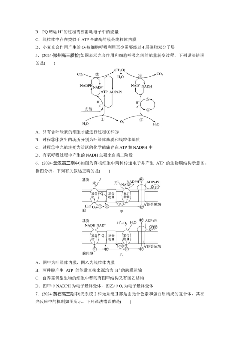 第三单元　课时练16光合作用的原理_2025年新高考资料_一轮复习_2025大一轮复习讲义+课件（完结）_2025大一轮复习讲义生物学生用书Word版文档整书_2025一轮复习73练