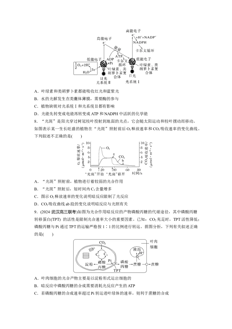 第三单元　课时练16光合作用的原理_2025年新高考资料_一轮复习_2025大一轮复习讲义+课件（完结）_2025大一轮复习讲义生物学生用书Word版文档整书_2025一轮复习73练