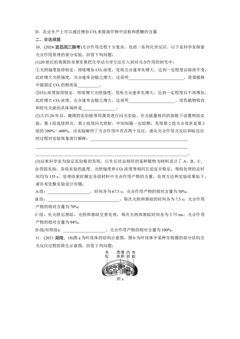 第三单元　课时练16光合作用的原理_2025年新高考资料_一轮复习_2025大一轮复习讲义+课件（完结）_2025大一轮复习讲义生物学生用书Word版文档整书_2025一轮复习73练