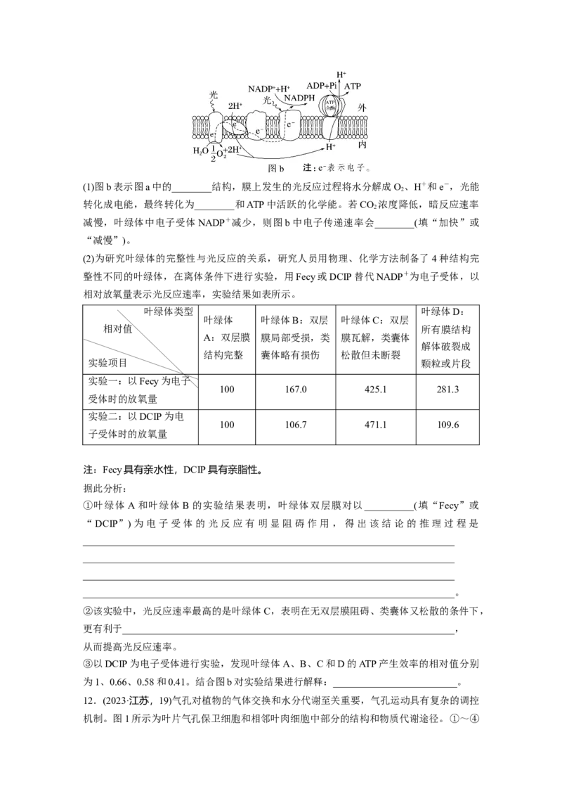 第三单元　课时练16光合作用的原理_2025年新高考资料_一轮复习_2025大一轮复习讲义+课件（完结）_2025大一轮复习讲义生物学生用书Word版文档整书_2025一轮复习73练