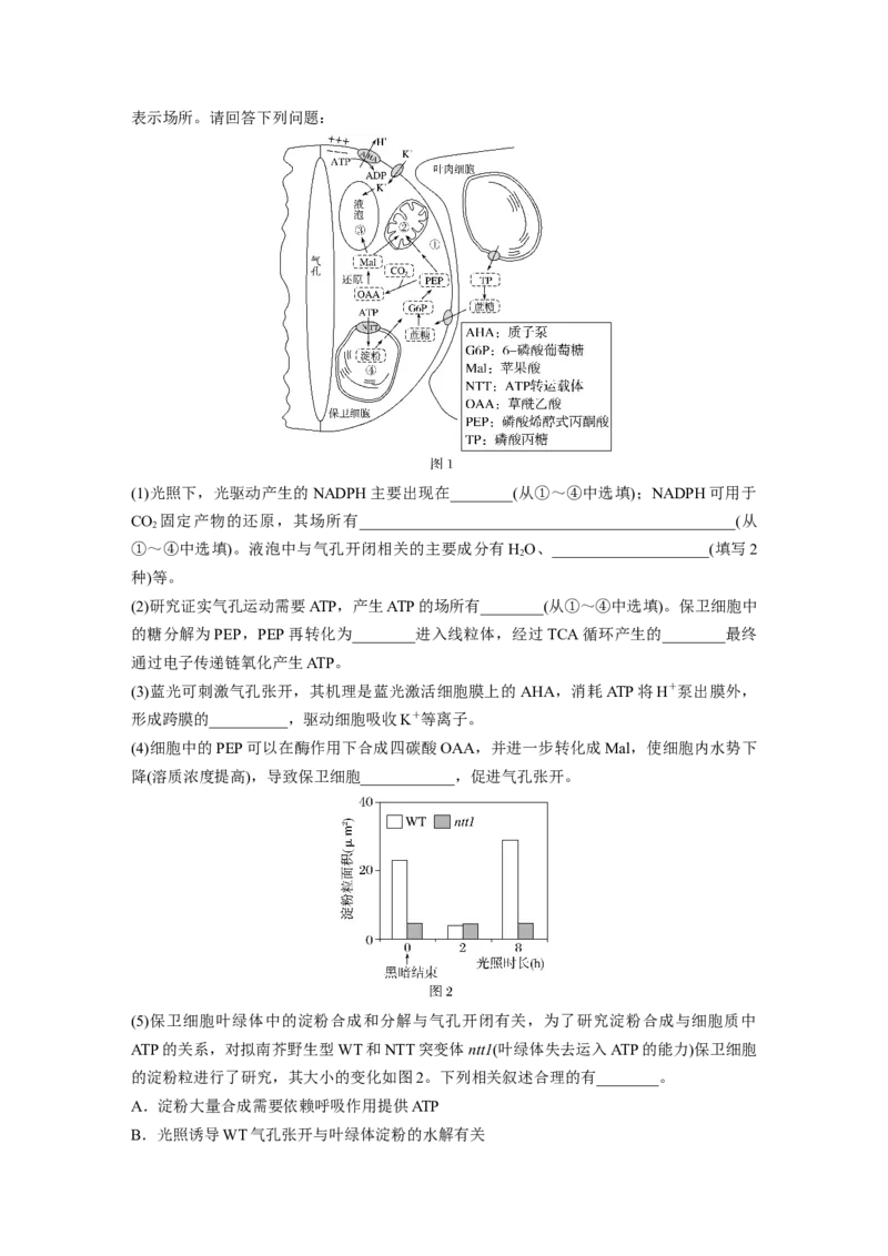 第三单元　课时练16光合作用的原理_2025年新高考资料_一轮复习_2025大一轮复习讲义+课件（完结）_2025大一轮复习讲义生物学生用书Word版文档整书_2025一轮复习73练