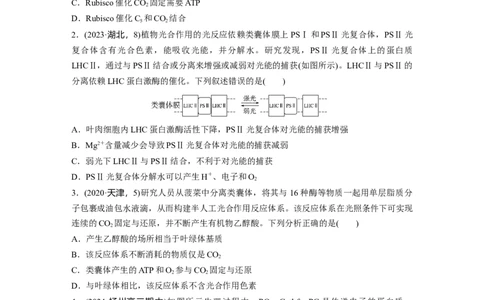 第三单元　课时练16光合作用的原理_2025年新高考资料_一轮复习_2025大一轮复习讲义+课件（完结）_2025大一轮复习讲义生物学生用书Word版文档整书_2025一轮复习73练