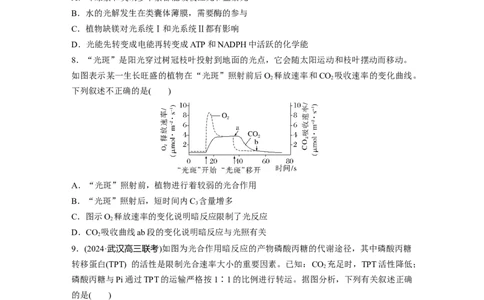 第三单元　课时练16光合作用的原理_2025年新高考资料_一轮复习_2025大一轮复习讲义+课件（完结）_2025大一轮复习讲义生物学生用书Word版文档整书_2025一轮复习73练