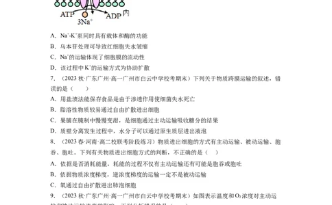 第7讲物质运输（第2课时物质输入和输出的方式）（练习）（原卷版）_新高考复习资料_2024年新高考复习资料_一轮复习资料_讲义+练习