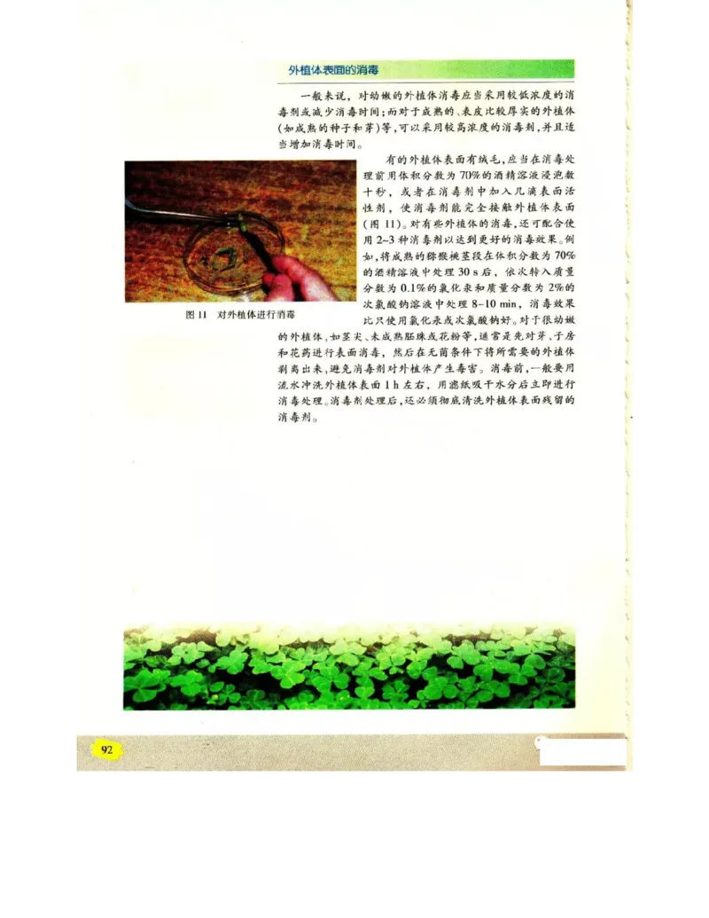苏教版高中生物选修1《生物技术实践》电子课本_电子课本_最新版高中全科高清电子课本_6高中生物课本_苏教版高中生物