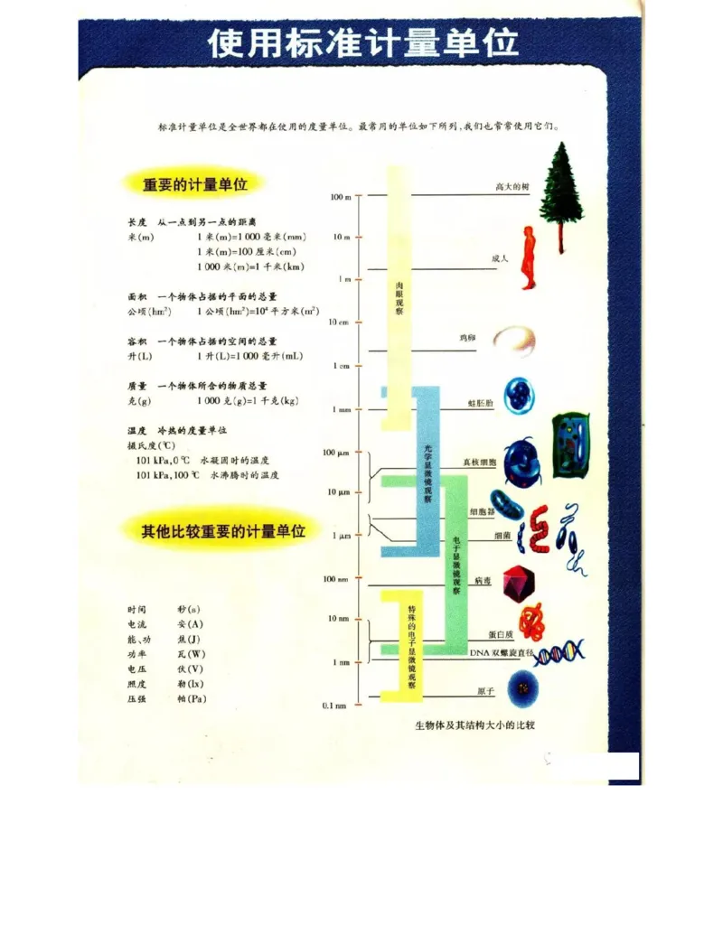 苏教版高中生物选修1《生物技术实践》电子课本_电子课本_最新版高中全科高清电子课本_6高中生物课本_苏教版高中生物