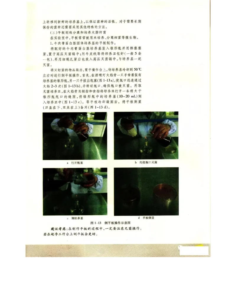 苏教版高中生物选修1《生物技术实践》电子课本_电子课本_最新版高中全科高清电子课本_6高中生物课本_苏教版高中生物