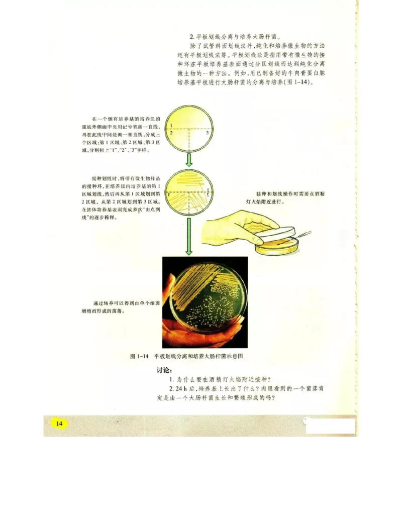 苏教版高中生物选修1《生物技术实践》电子课本_电子课本_最新版高中全科高清电子课本_6高中生物课本_苏教版高中生物