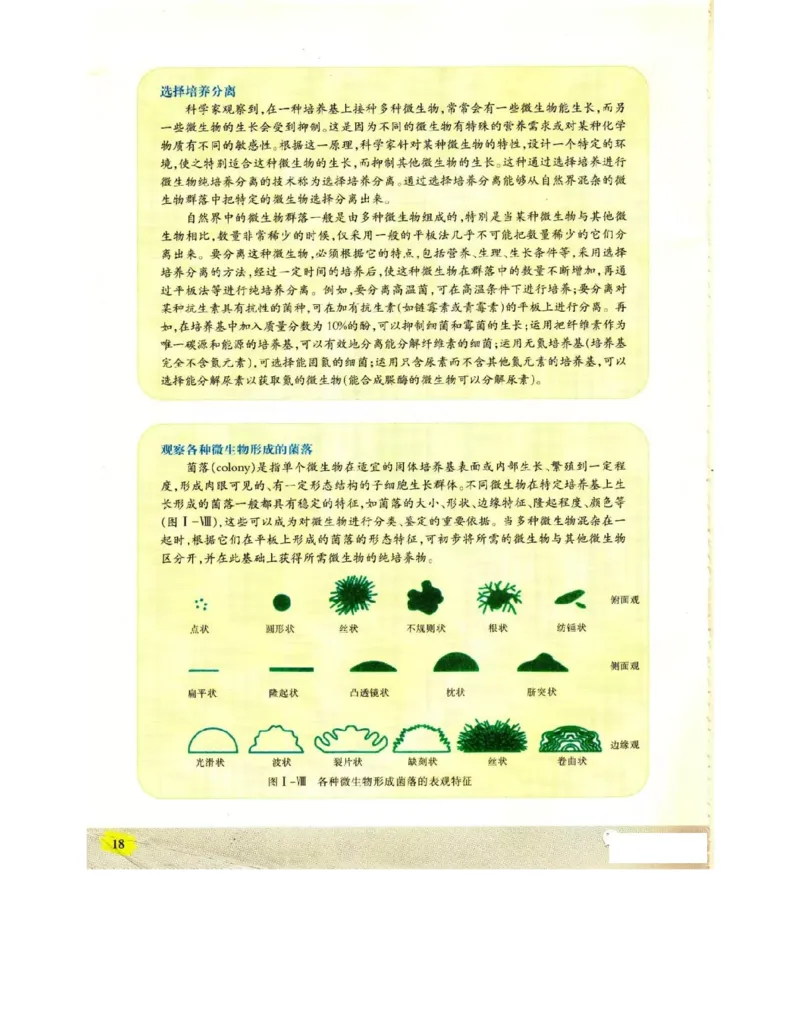 苏教版高中生物选修1《生物技术实践》电子课本_电子课本_最新版高中全科高清电子课本_6高中生物课本_苏教版高中生物