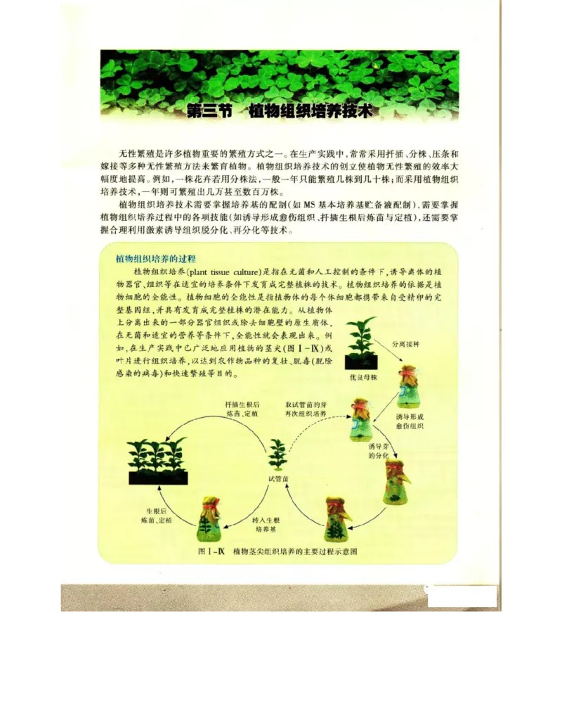 苏教版高中生物选修1《生物技术实践》电子课本_电子课本_最新版高中全科高清电子课本_6高中生物课本_苏教版高中生物