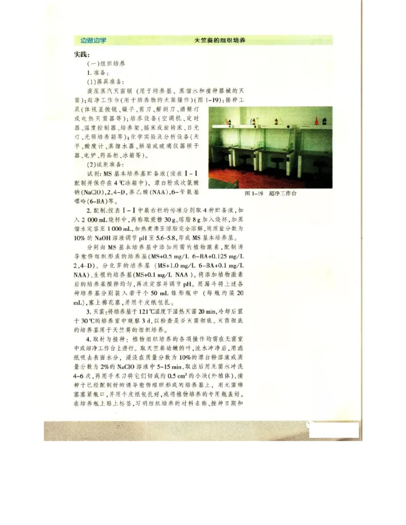 苏教版高中生物选修1《生物技术实践》电子课本_电子课本_最新版高中全科高清电子课本_6高中生物课本_苏教版高中生物
