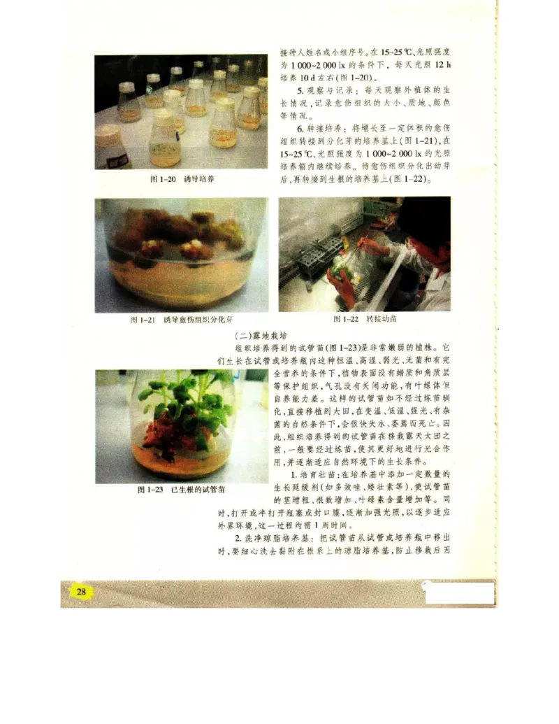苏教版高中生物选修1《生物技术实践》电子课本_电子课本_最新版高中全科高清电子课本_6高中生物课本_苏教版高中生物