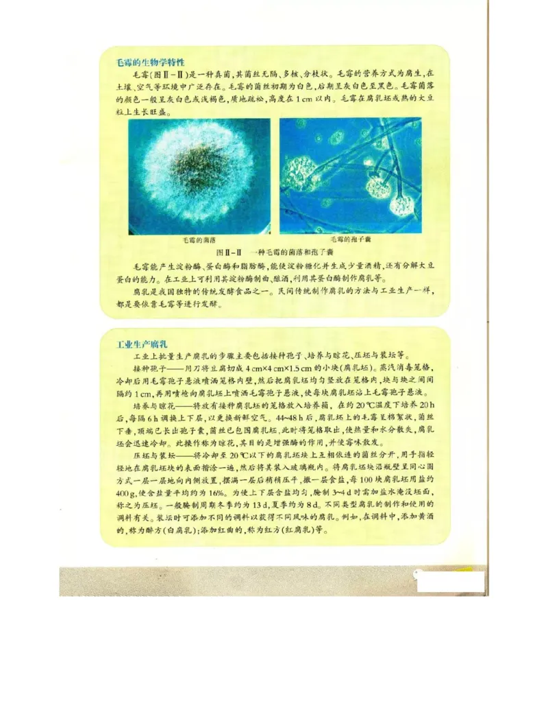 苏教版高中生物选修1《生物技术实践》电子课本_电子课本_最新版高中全科高清电子课本_6高中生物课本_苏教版高中生物