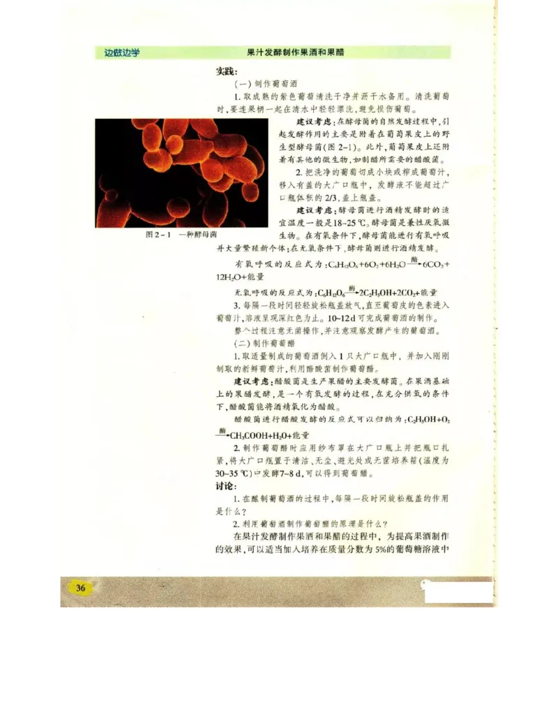 苏教版高中生物选修1《生物技术实践》电子课本_电子课本_最新版高中全科高清电子课本_6高中生物课本_苏教版高中生物
