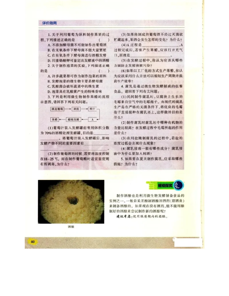苏教版高中生物选修1《生物技术实践》电子课本_电子课本_最新版高中全科高清电子课本_6高中生物课本_苏教版高中生物