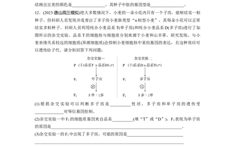 第五单元课时练25分离定律的概率计算和常规应用_2025年新高考资料_一轮复习_2025大一轮复习讲义+课件（完结）_2025大一轮复习讲义生物学生用书Word版文档整书_2025一轮复习73练