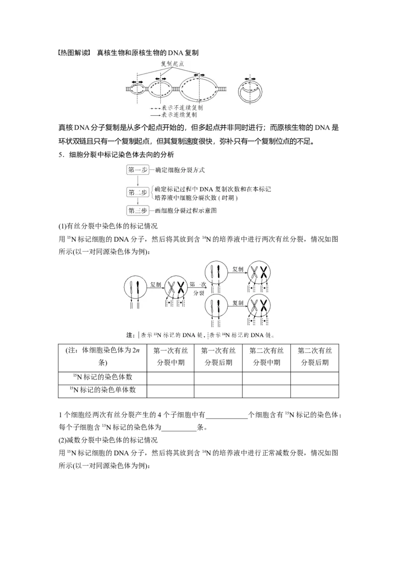 第六单元　第30课时　DNA的结构与复制_2025年新高考资料_一轮复习_2025大一轮复习讲义+课件（完结）_2025大一轮复习讲义生物学生用书Word版文档整书_2025大一轮复习讲义