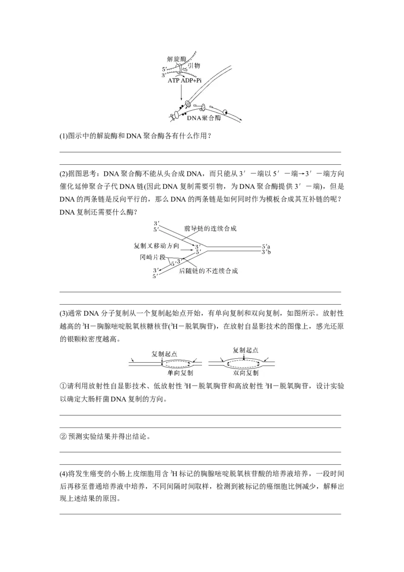 第六单元　第30课时　DNA的结构与复制_2025年新高考资料_一轮复习_2025大一轮复习讲义+课件（完结）_2025大一轮复习讲义生物学生用书Word版文档整书_2025大一轮复习讲义