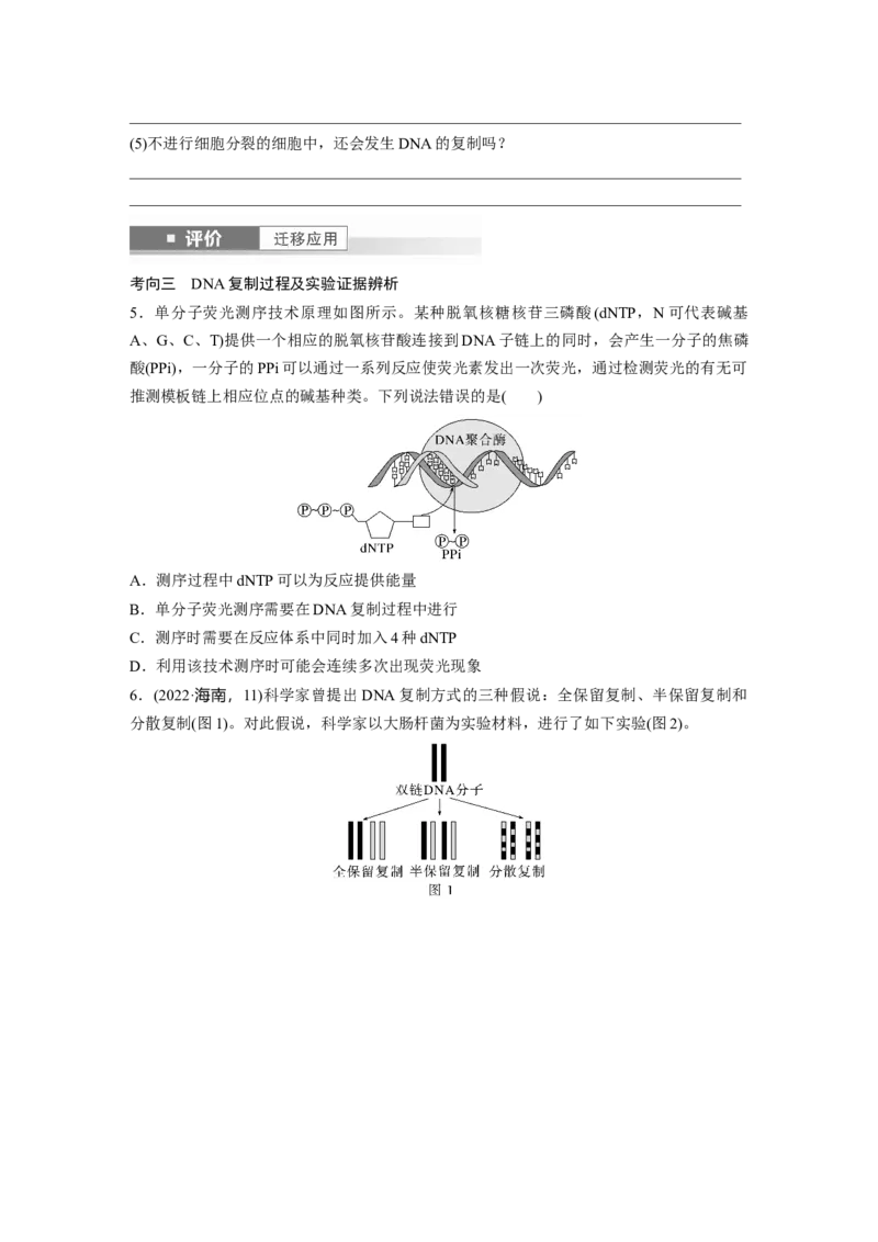 第六单元　第30课时　DNA的结构与复制_2025年新高考资料_一轮复习_2025大一轮复习讲义+课件（完结）_2025大一轮复习讲义生物学生用书Word版文档整书_2025大一轮复习讲义