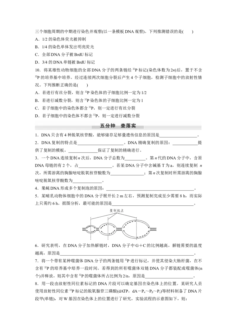 第六单元　第30课时　DNA的结构与复制_2025年新高考资料_一轮复习_2025大一轮复习讲义+课件（完结）_2025大一轮复习讲义生物学生用书Word版文档整书_2025大一轮复习讲义