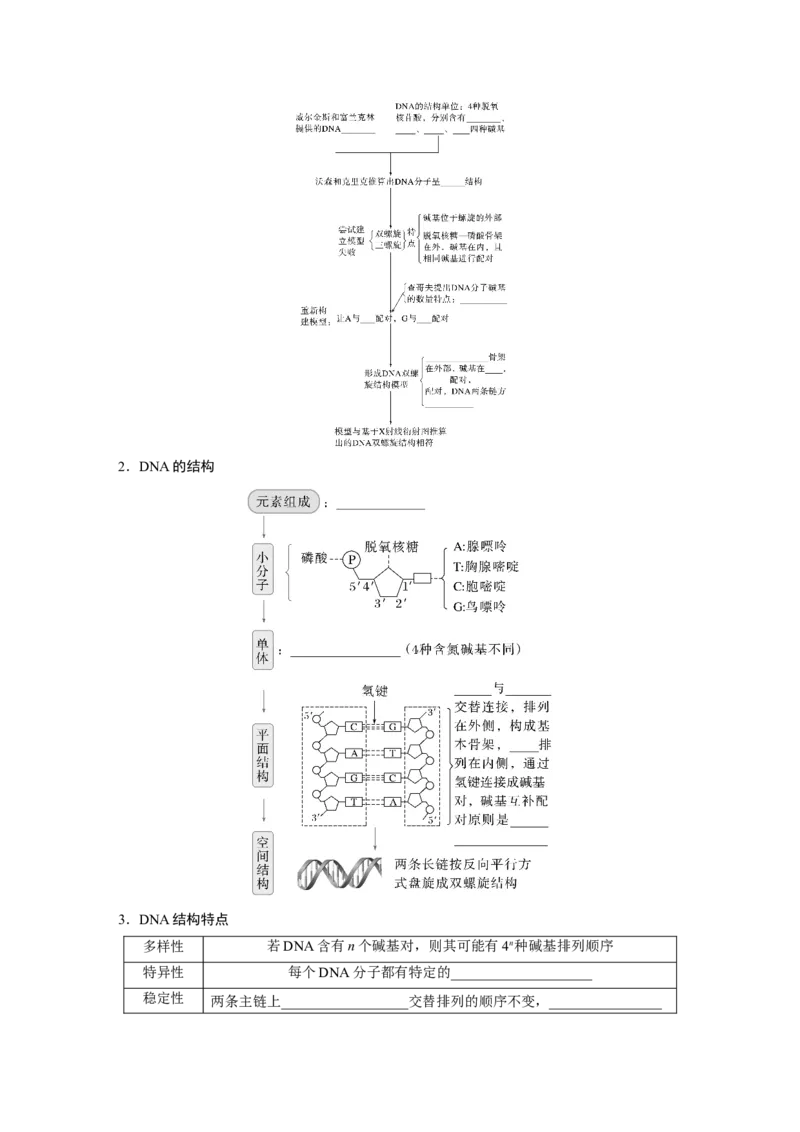 第六单元　第30课时　DNA的结构与复制_2025年新高考资料_一轮复习_2025大一轮复习讲义+课件（完结）_2025大一轮复习讲义生物学生用书Word版文档整书_2025大一轮复习讲义