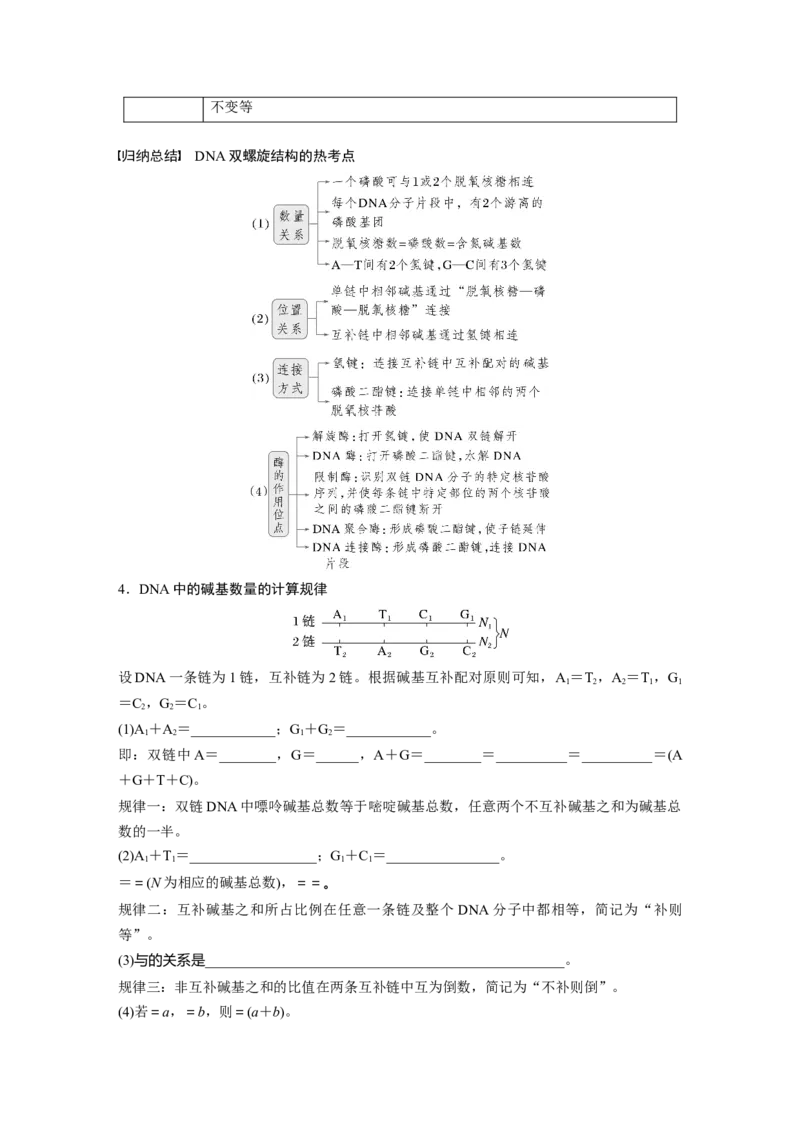 第六单元　第30课时　DNA的结构与复制_2025年新高考资料_一轮复习_2025大一轮复习讲义+课件（完结）_2025大一轮复习讲义生物学生用书Word版文档整书_2025大一轮复习讲义