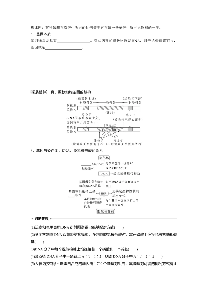 第六单元　第30课时　DNA的结构与复制_2025年新高考资料_一轮复习_2025大一轮复习讲义+课件（完结）_2025大一轮复习讲义生物学生用书Word版文档整书_2025大一轮复习讲义