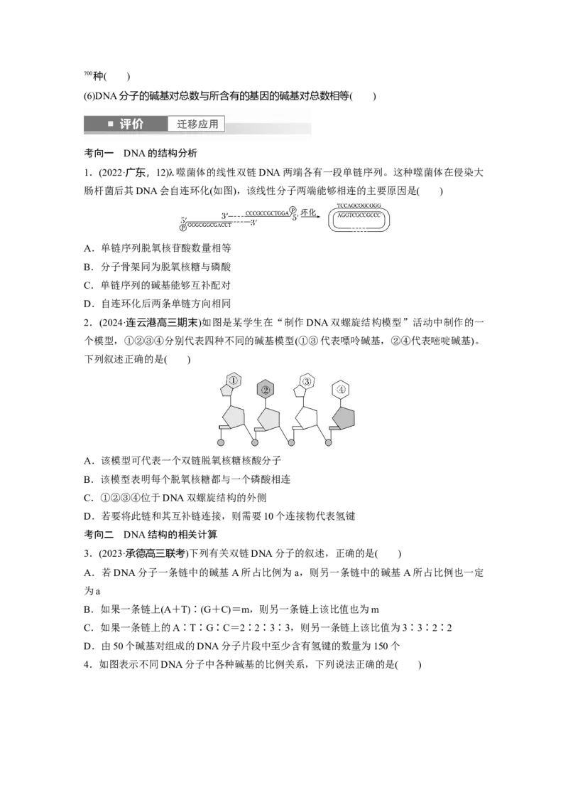 第六单元　第30课时　DNA的结构与复制_2025年新高考资料_一轮复习_2025大一轮复习讲义+课件（完结）_2025大一轮复习讲义生物学生用书Word版文档整书_2025大一轮复习讲义