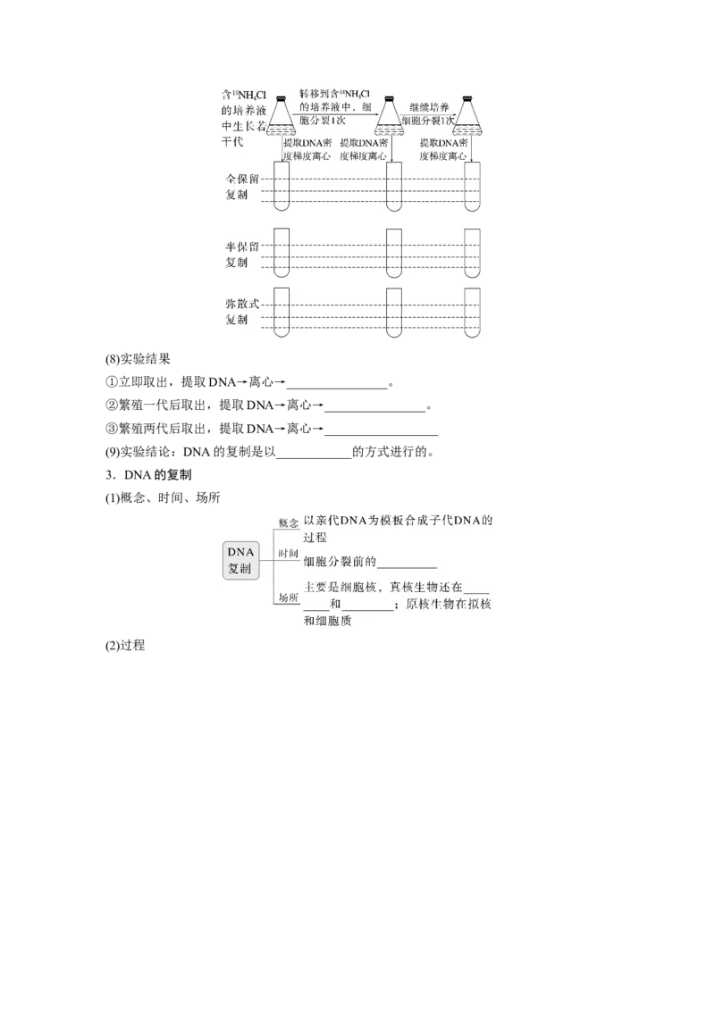 第六单元　第30课时　DNA的结构与复制_2025年新高考资料_一轮复习_2025大一轮复习讲义+课件（完结）_2025大一轮复习讲义生物学生用书Word版文档整书_2025大一轮复习讲义