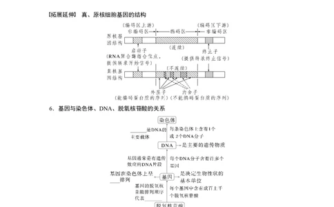 第六单元　第30课时　DNA的结构与复制_2025年新高考资料_一轮复习_2025大一轮复习讲义+课件（完结）_2025大一轮复习讲义生物学生用书Word版文档整书_2025大一轮复习讲义