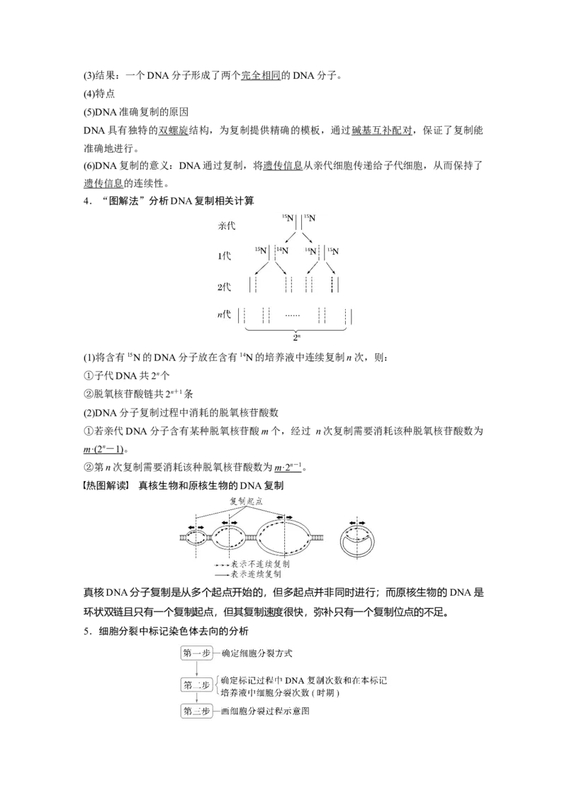 第六单元　第30课时　DNA的结构与复制_2025年新高考资料_一轮复习_2025大一轮复习讲义+课件（完结）_2025大一轮复习讲义生物教师用书Word版文档整书_配套Word版文档第三~六单元