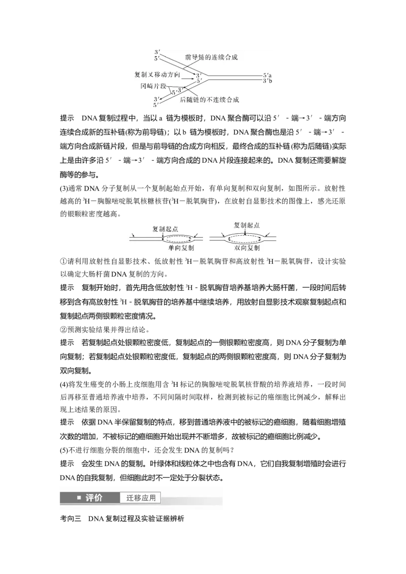 第六单元　第30课时　DNA的结构与复制_2025年新高考资料_一轮复习_2025大一轮复习讲义+课件（完结）_2025大一轮复习讲义生物教师用书Word版文档整书_配套Word版文档第三~六单元